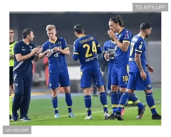 博洛尼亚1-0小胜维罗纳，继续向欧战资格发起冲击